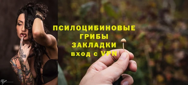 таблы Алзамай