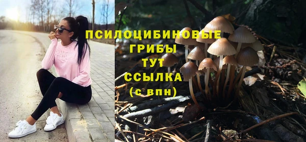 МДПВ Алексин
