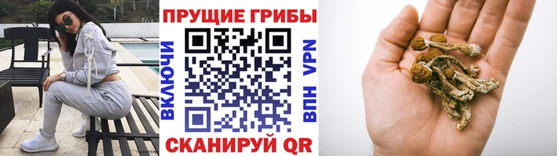 Галлюциногенные грибы мицелий Красноуфимск